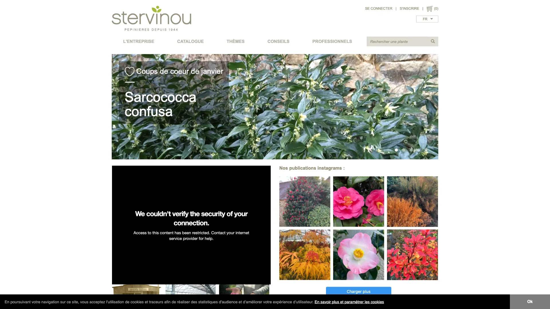 Stervinou - version desktop